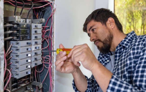 Best Electrical System Inspection  in Chilhowie, VA